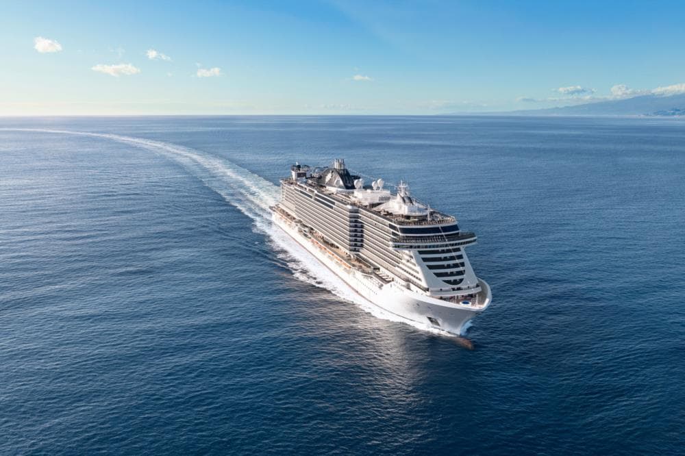 MSC SeaviewВиктор